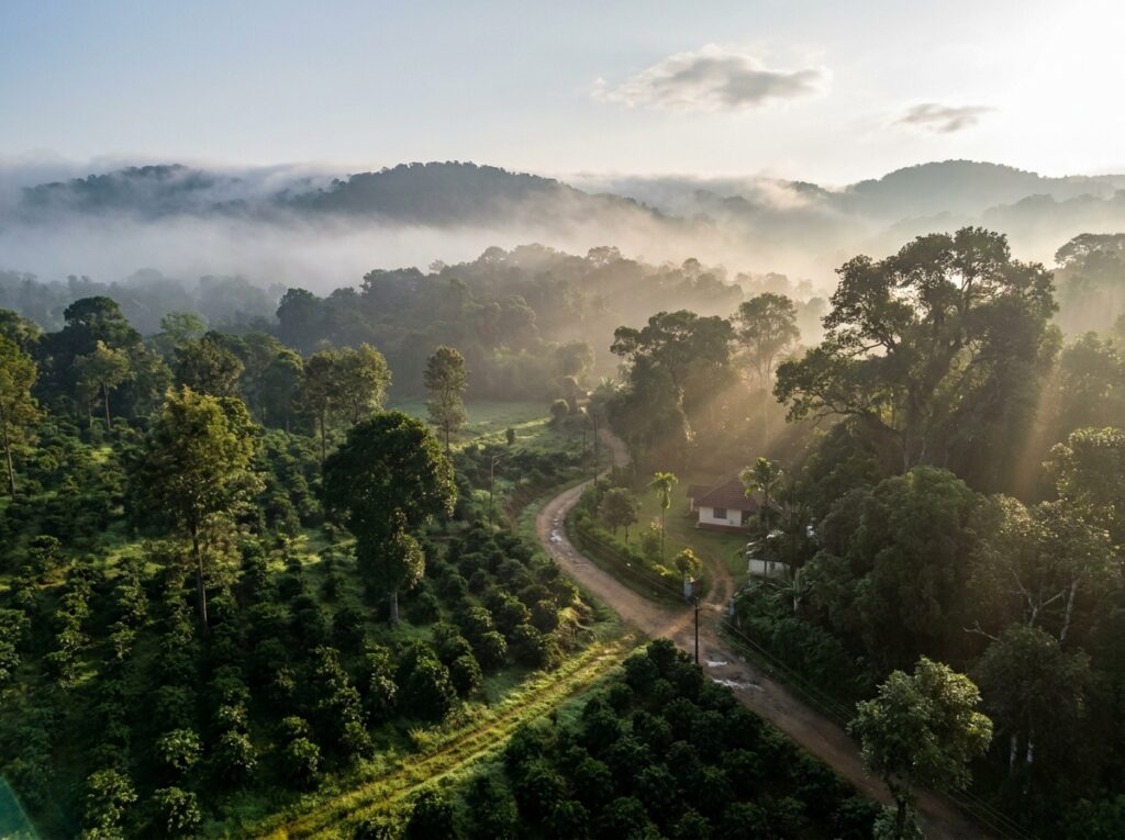 coorg tour package